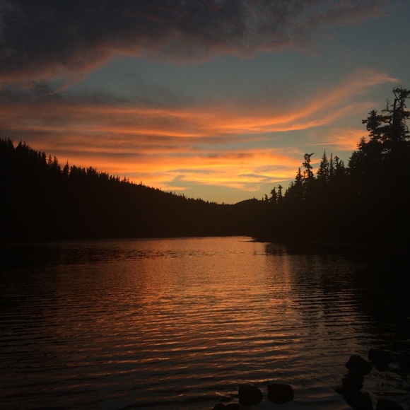 Meet your Posher, Steve - Picture 5 of 7